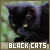black cats fanlistings