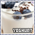 yoghurt fanlisting
